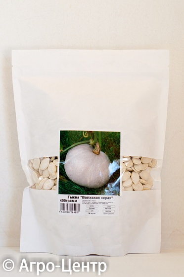 Купить семена тыквы волжская серая